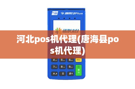 河北pos机代理(唐海县pos机代理)