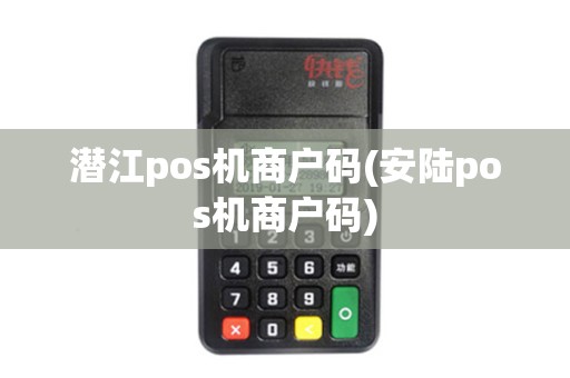 潜江pos机商户码(安陆pos机商户码)