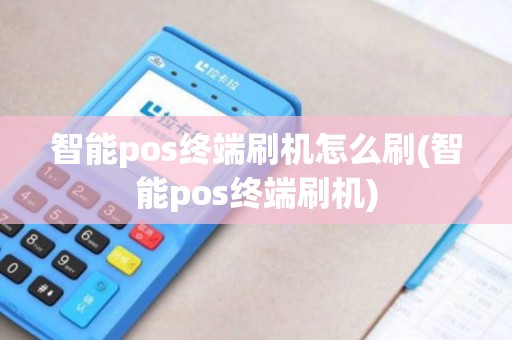 智能pos终端刷机怎么刷(智能pos终端刷机)