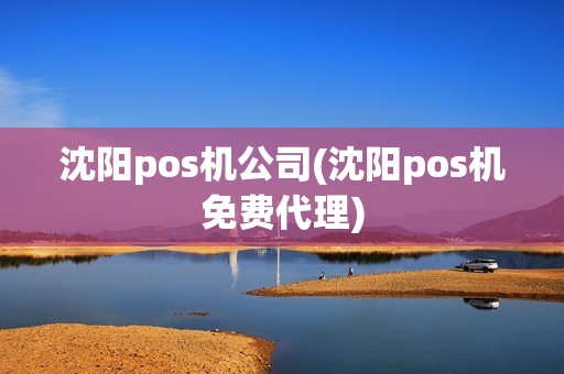 沈阳pos机公司(沈阳pos机免费代理)