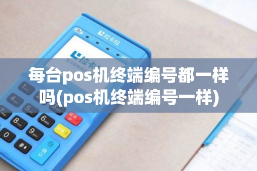 每台pos机终端编号都一样吗(pos机终端编号一样)