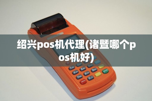 绍兴pos机代理(诸暨哪个pos机好)