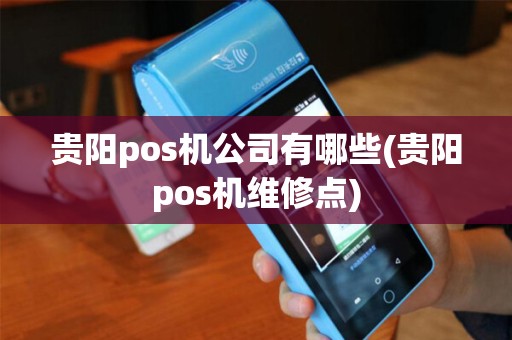 贵阳pos机公司有哪些(贵阳pos机维修点)