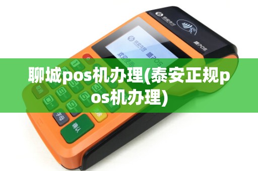 聊城pos机办理(泰安正规pos机办理)