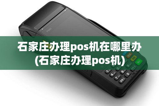 石家庄办理pos机在哪里办(石家庄办理pos机)