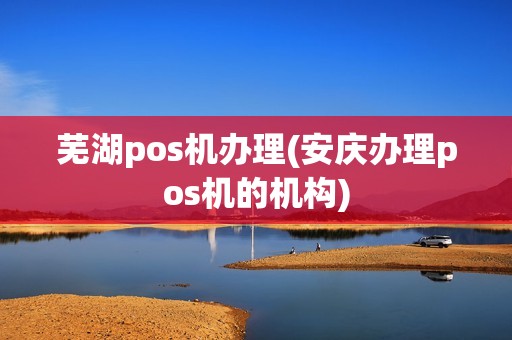 芜湖pos机办理(安庆办理pos机的机构)