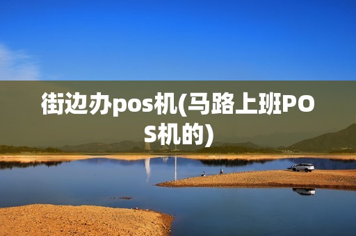 街边办pos机(马路上班POS机的)
