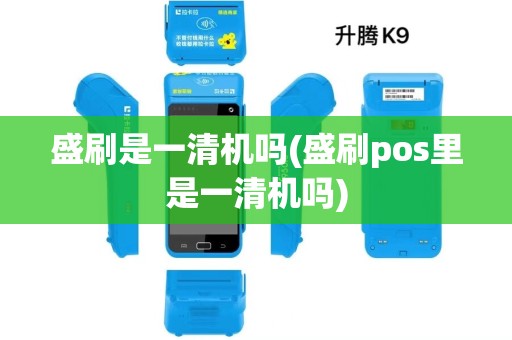 盛刷是一清机吗(盛刷pos里是一清机吗)