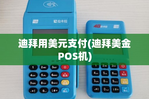迪拜用美元支付(迪拜美金POS机)