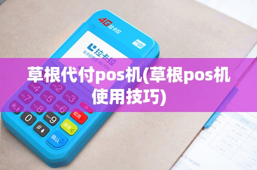 草根代付pos机(草根pos机使用技巧)