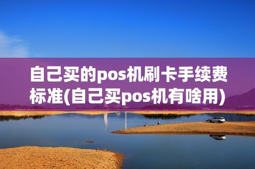 自己买的pos机刷卡手续费标准(自己买pos机有啥用)