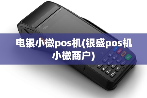 电银小微pos机(银盛pos机小微商户)