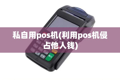 私自用pos机(利用pos机侵占他人钱)