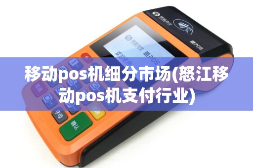 移动pos机细分市场(怒江移动pos机支付行业)