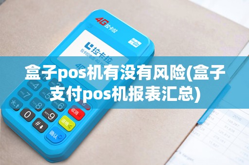 盒子pos机有没有风险(盒子支付pos机报表汇总)