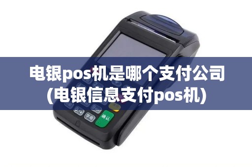 电银pos机是哪个支付公司(电银信息支付pos机)