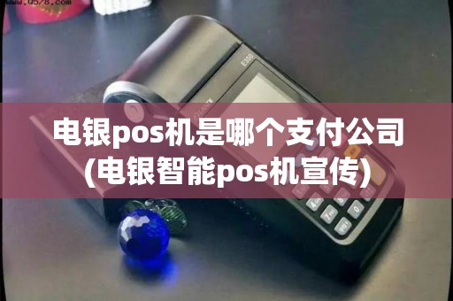 电银pos机是哪个支付公司(电银智能pos机宣传)