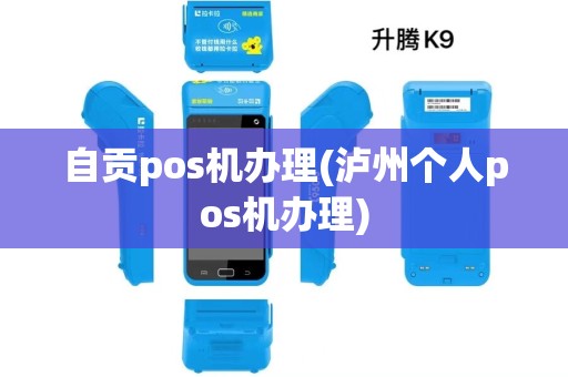自贡pos机办理(泸州个人pos机办理)