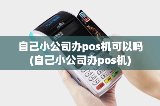 自己小公司办pos机可以吗(自己小公司办pos机)