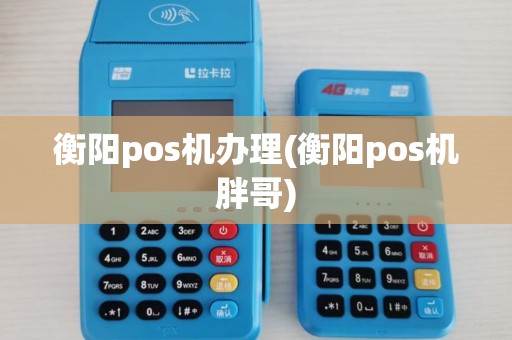 衡阳pos机办理(衡阳pos机胖哥)