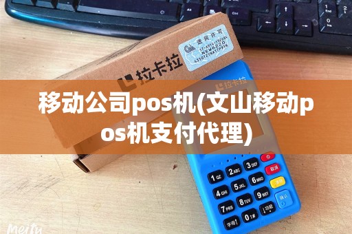移动公司pos机(文山移动pos机支付代理)