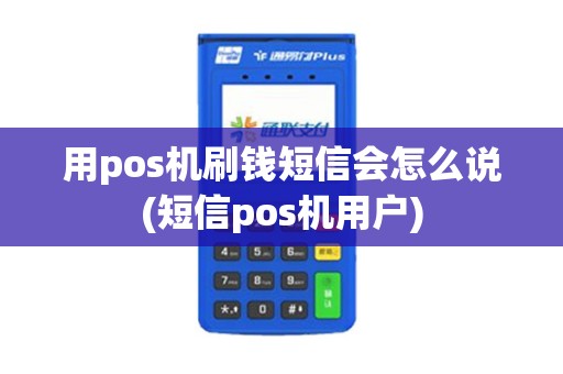 用pos机刷钱短信会怎么说(短信pos机用户)