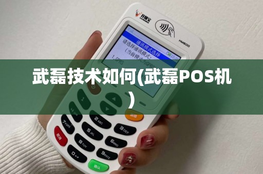 武磊技术如何(武磊POS机)