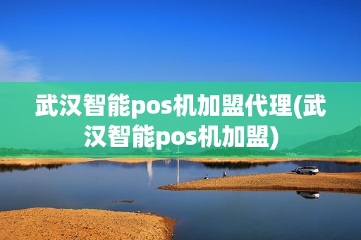 武汉智能pos机加盟代理(武汉智能pos机加盟)