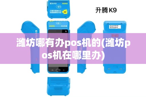 潍坊哪有办pos机的(潍坊pos机在哪里办)