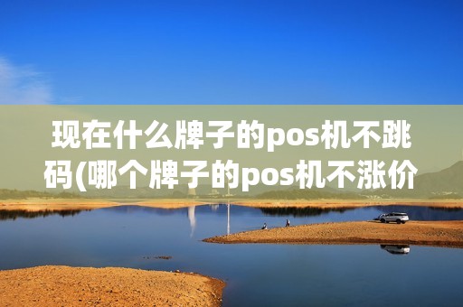 现在什么牌子的pos机不跳码(哪个牌子的pos机不涨价)