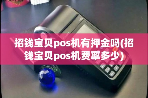 招钱宝贝pos机有押金吗(招钱宝贝pos机费率多少)