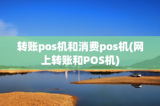 转账pos机和消费pos机(网上转账和POS机)