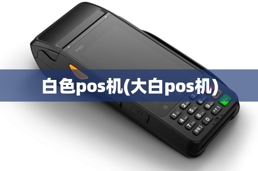 白色pos机(大白pos机)