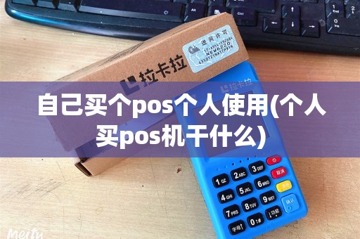 自己买个pos个人使用(个人买pos机干什么)