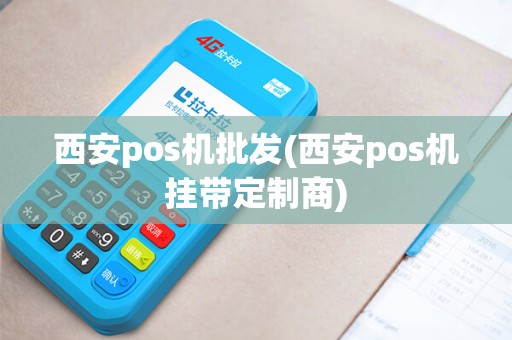 西安pos机批发(西安pos机挂带定制商)