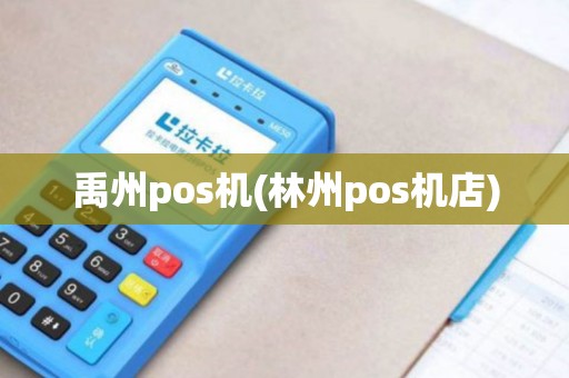 禹州pos机(林州pos机店)