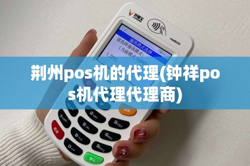 荆州pos机的代理(钟祥pos机代理代理商)