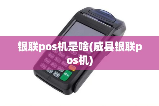 银联pos机是啥(威县银联pos机)