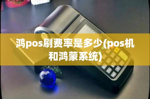 鸿pos刷费率是多少(pos机和鸿蒙系统)