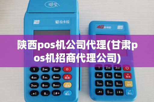 陕西pos机公司代理(甘肃pos机招商代理公司)