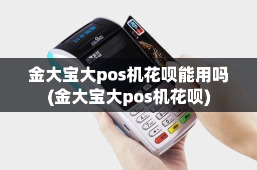 金大宝大pos机花呗能用吗(金大宝大pos机花呗)