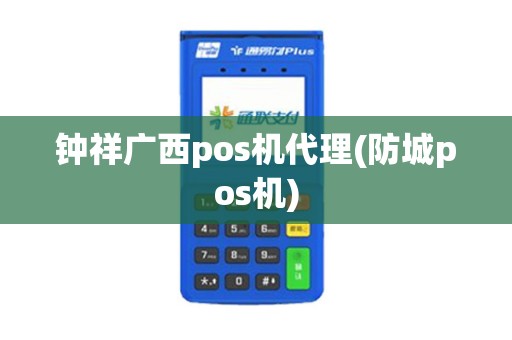 钟祥广西pos机代理(防城pos机)