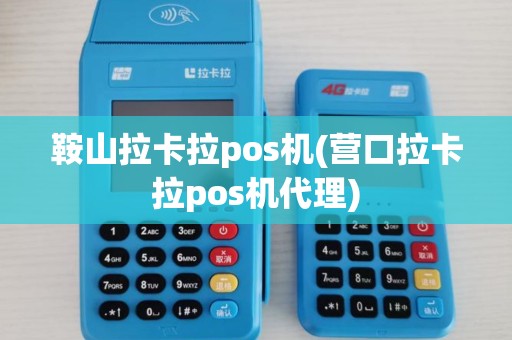 鞍山拉卡拉pos机(营口拉卡拉pos机代理)