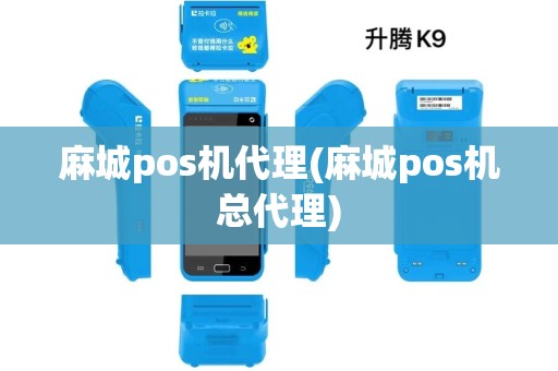 麻城pos机代理(麻城pos机总代理)