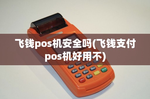 飞钱pos机安全吗(飞钱支付pos机好用不)