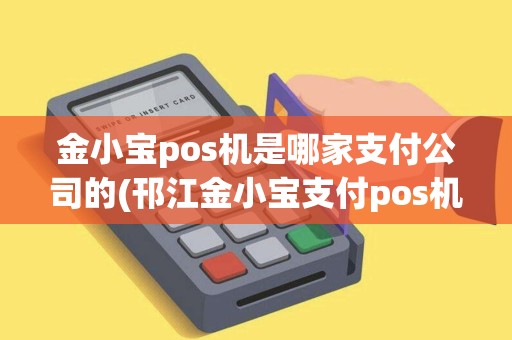 金小宝pos机是哪家支付公司的(邗江金小宝支付pos机)