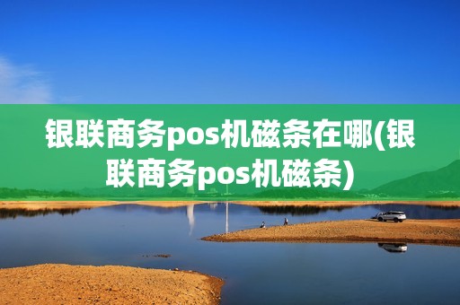 银联商务pos机磁条在哪(银联商务pos机磁条)