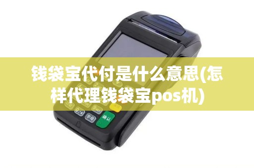 钱袋宝代付是什么意思(怎样代理钱袋宝pos机)