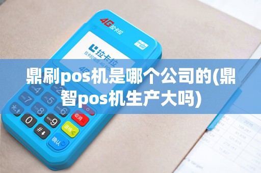 鼎刷pos机是哪个公司的(鼎智pos机生产大吗)