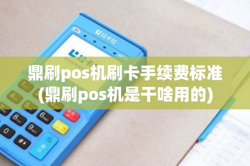 鼎刷pos机刷卡手续费标准(鼎刷pos机是干啥用的)